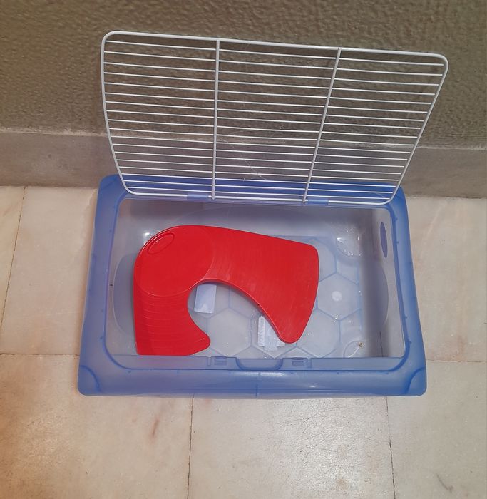 Caixa roedores e ou tartarugas