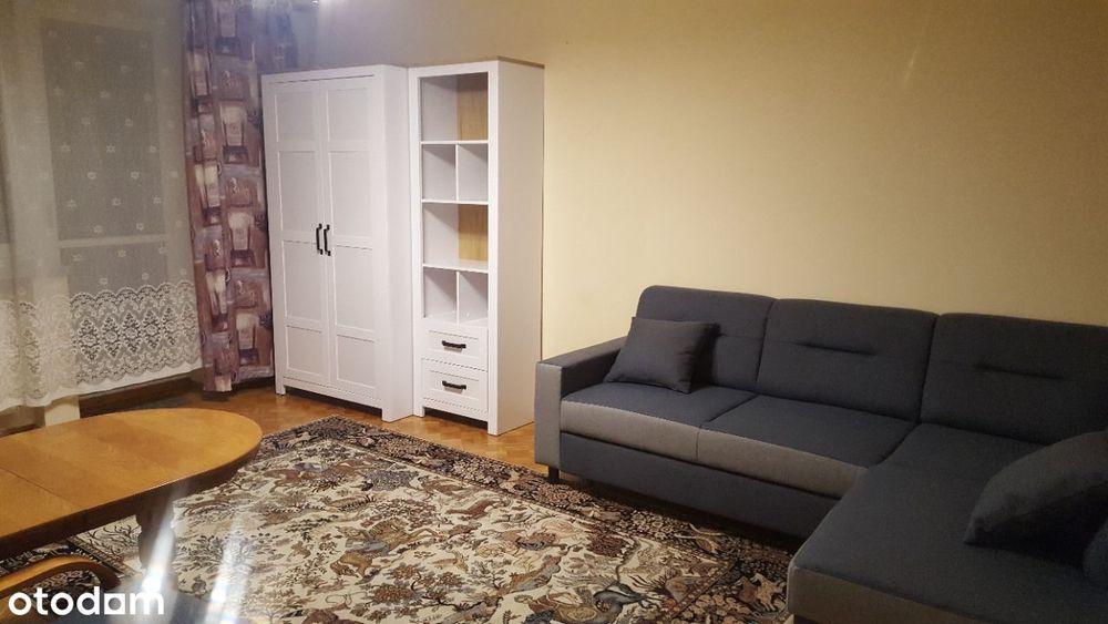 Krasińskiego blisko UMK, posesja ogrodzona i doz.
