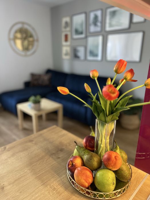 Noclegi Apartament Premium Pokoje Sandomierz Centrum