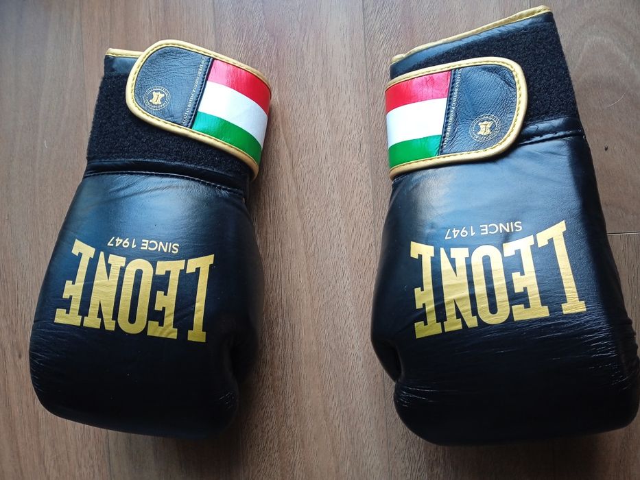Luvas e caneleiras Kickboxing LEONE