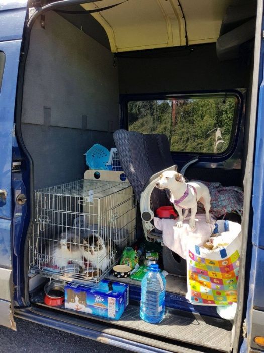 Kurier Irlandia Polska irlandia usługi transport przeprowadzki