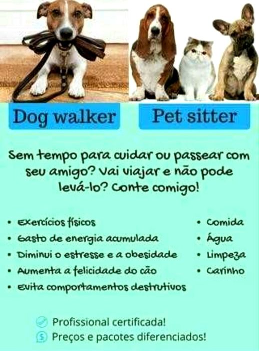 Serviços de petsitting/dogwalking em época de Natal e Ano Novo