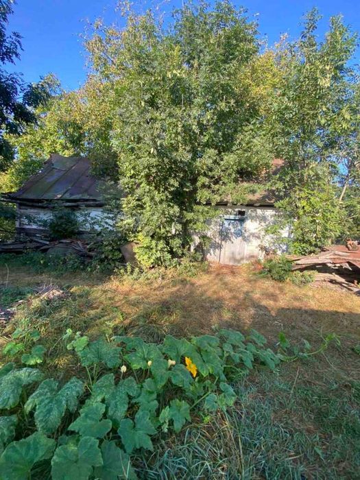 Земельна ділянка з будівлею с.Забороль