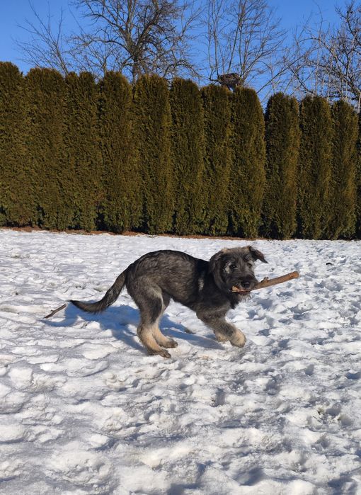 Szukamy najlepszego domu pod Słońcem