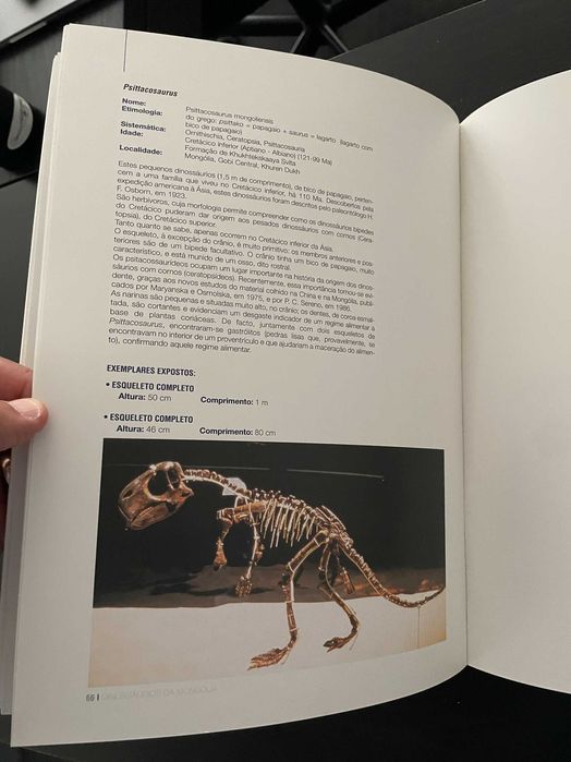 Livro / Catálogo Exposição Dinossauros