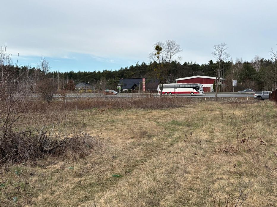 Wynajmę działkę 6600 M2 w miejscowości Izabelin -Dziekanówek .