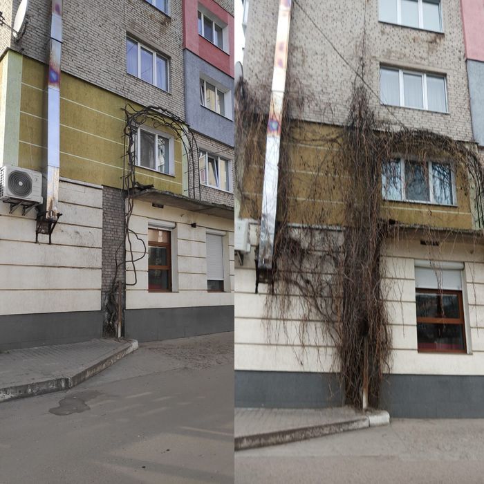 Зрізаю Дерева Аварійні
