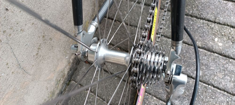 Bicicleta antiga Francesco Moser de carbono