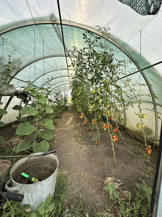 Продається дом в с.Ксаверівка, 48 соток землі, до Києва м.Теремки-40км