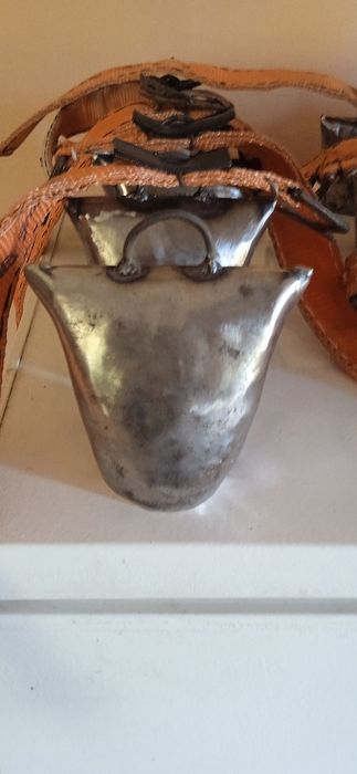 Колокольчики звінки дзвіночки,колокола,тронки