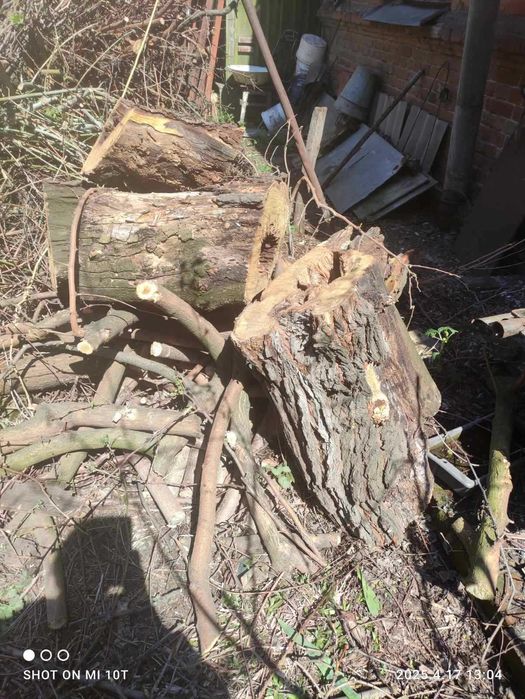 Продам НА дрова, шовковиця, акація