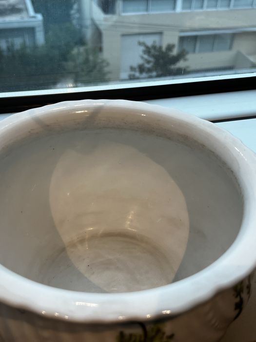 Penico centenário, Vista Alegre