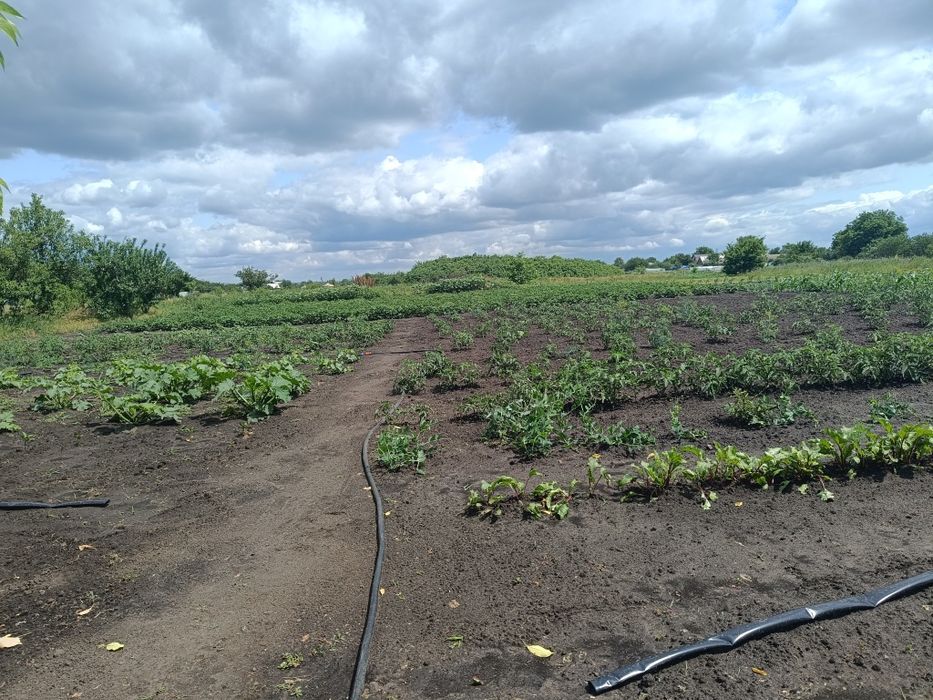 Продаж добротного будинку в Малинівці, Чугуївський р-н