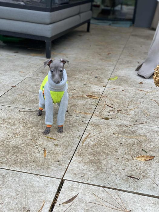 Charcik włoski chłopak