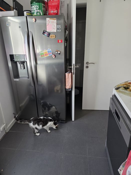 Aluga-se r/c de moradia Bifamiliar