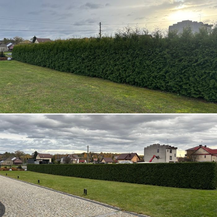 Przycinanie żywopłotu i tuj zakładanie trawników glebogryzarka koszeni