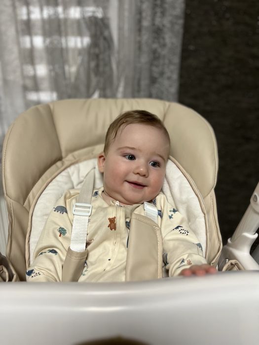 Стільчик-качеля 3 в 1 CARRELLO Triumph