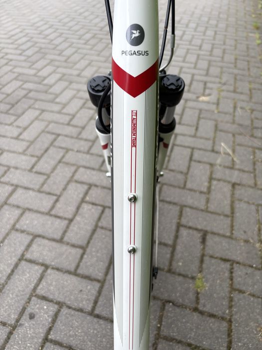 Rower Pegasus Avanti 26" rama 43