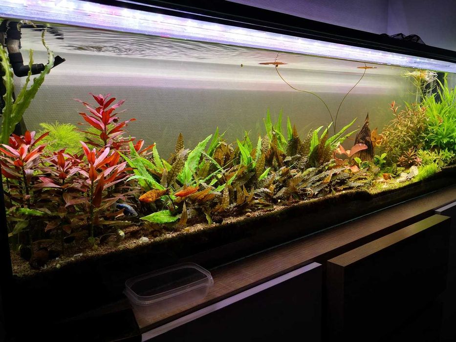 Mineralizator GH, BEZ KH – 400 ml