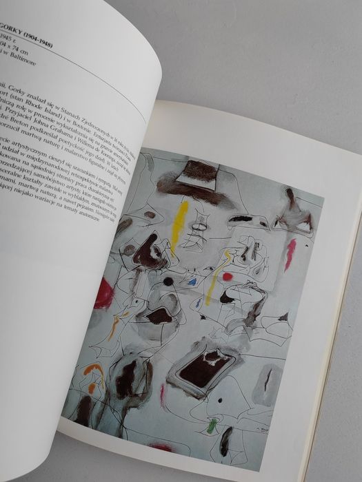 Książka Dwieście lat malarstwa amerykańskiego prl 1976