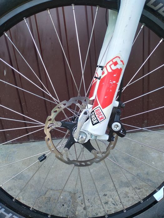 Rower Wilier Triestina