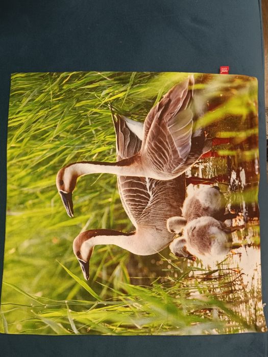 Poszewka na poduszkę kaczka