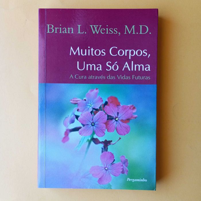 Coleção de Livros Mistos - Autores Variados - Conjunto 22
