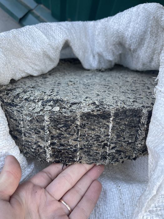 Макуха соняшникова