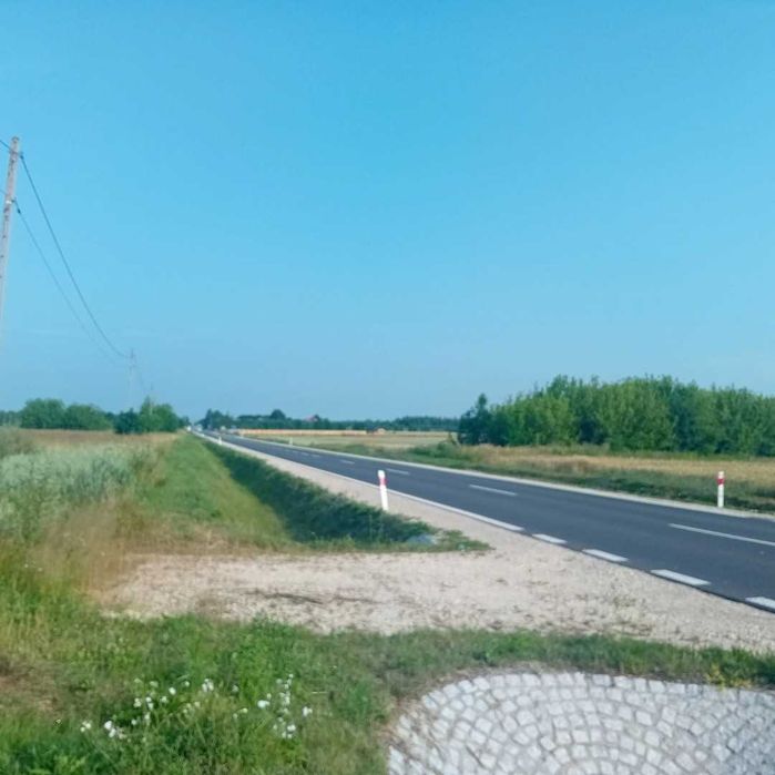 Wydzierżawię Pole 2.3ha - Widok 4