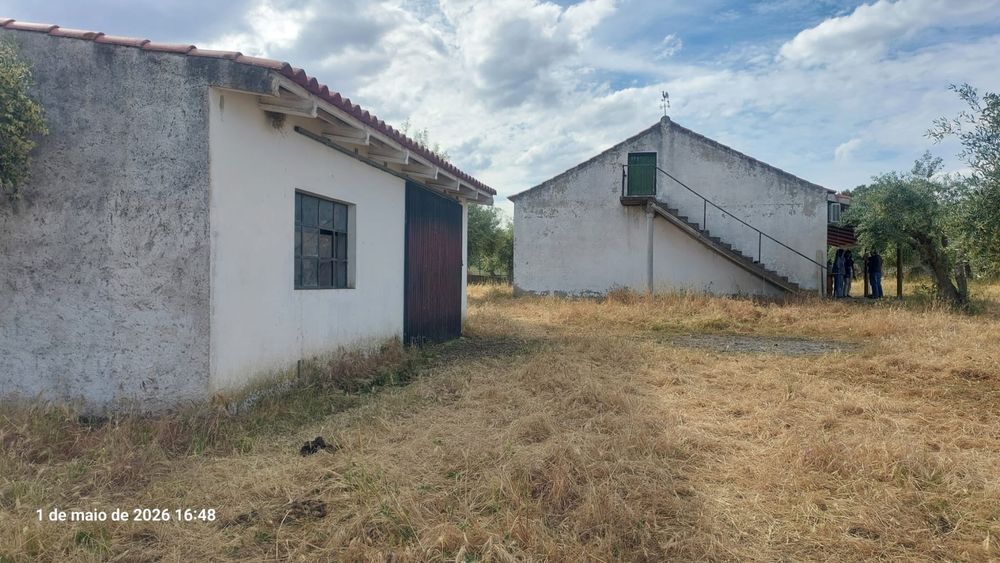 Quinta T3 Murada com 3.180m², Furo Artesiano e Anexos – castelo branco Idanha-a-Nova