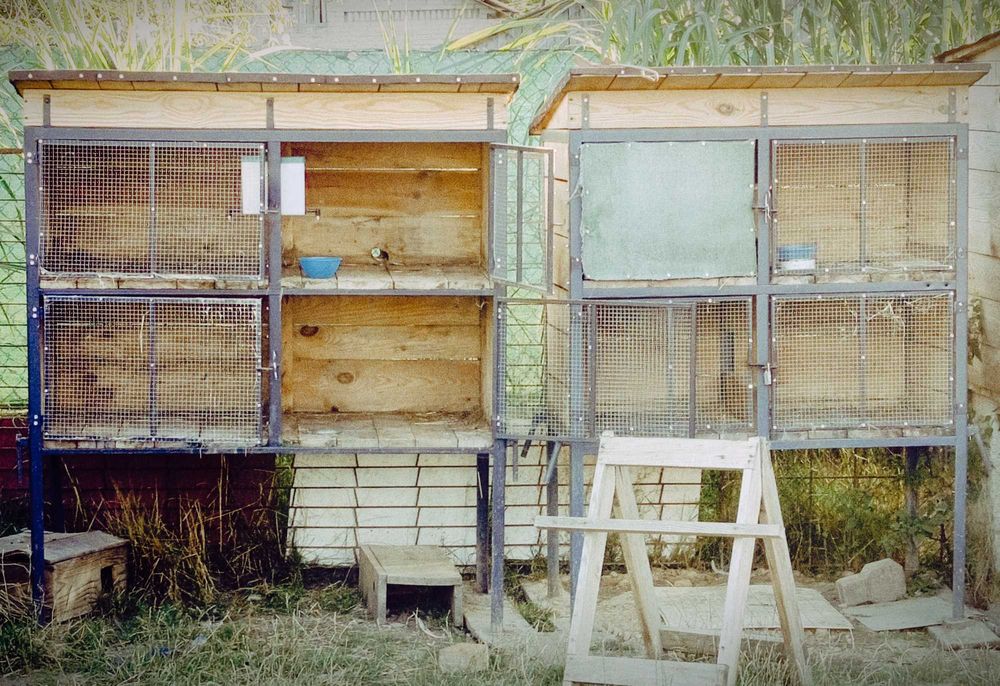 Klatki dla królików/zwierząt