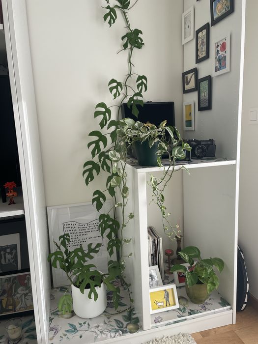 Armário para sala ou roupeiro