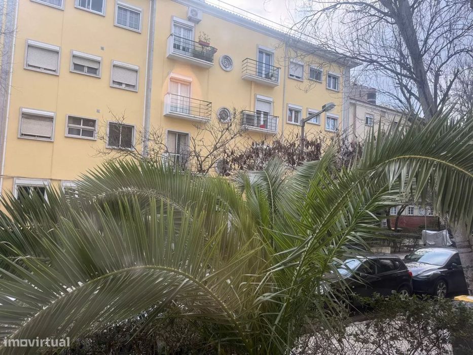 T4 de Excelência no Bairro de Alvalade – Localização Premium e Elevado