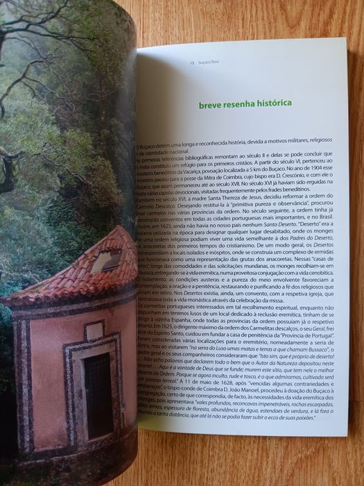 Buçaco, Mata Nacional do Buçaco - Árvores e Arbustos