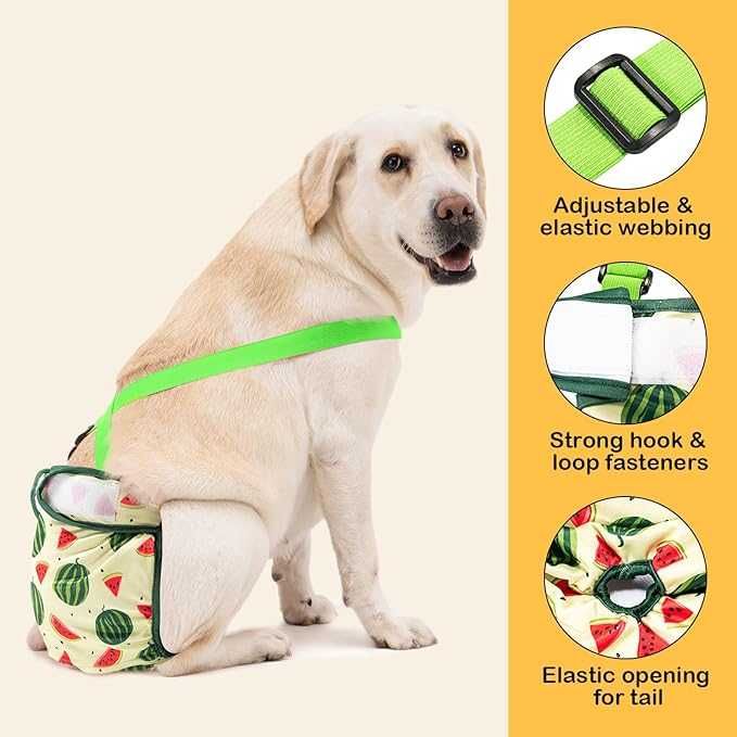 3 frladas para cadelas Pack Avont Washable Diaper with Suspender