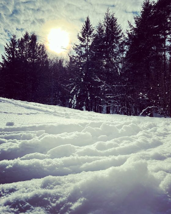 Centrum Szczawnica, wczasy, Dom Wczasowy Chemik