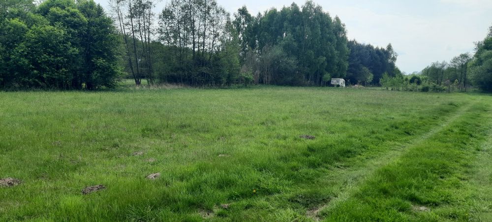 Działka rekreacyjna - Widok 2