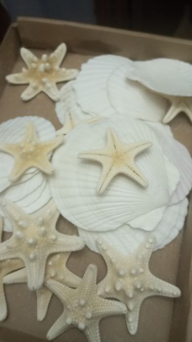 Estrelas e conchas artesanais