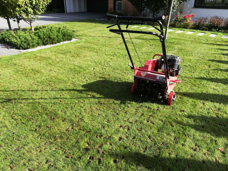 Zakładanie i pielęgnacja trawników