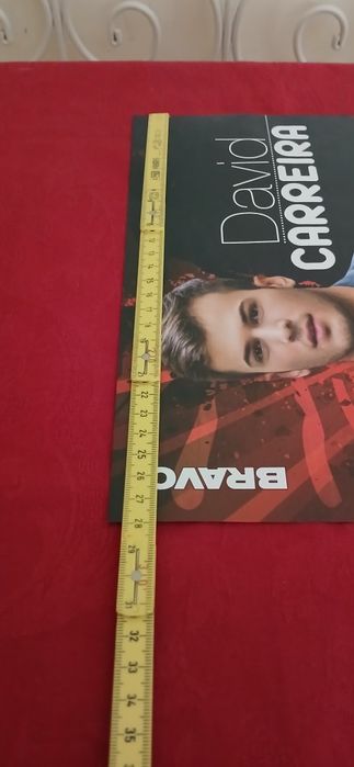 Poster David Carreira, novo