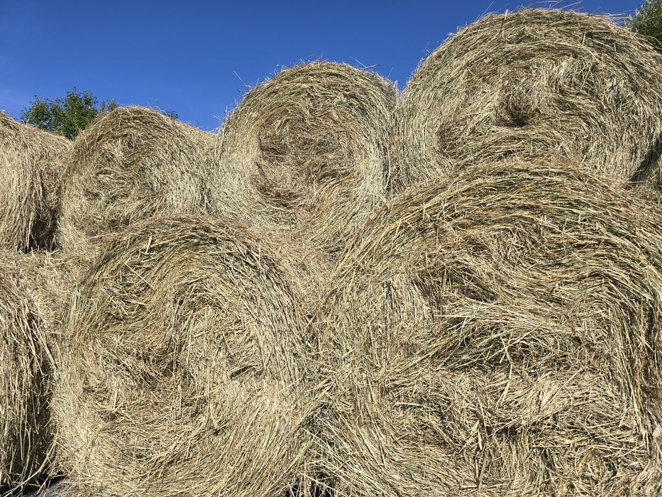 Siano baloty 120x120