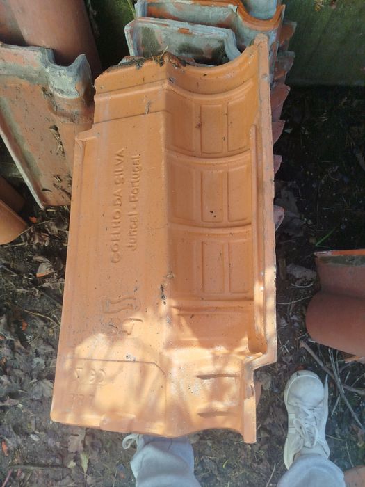 Telha Coelho da Silva Juncal Portugal