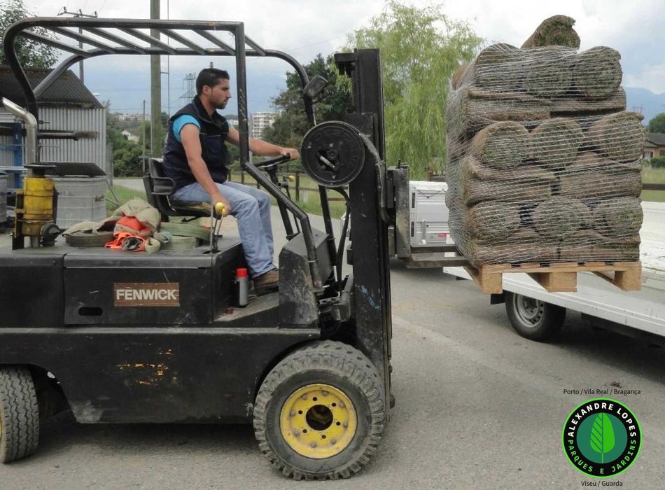Relva em tapete natural qualidade superior