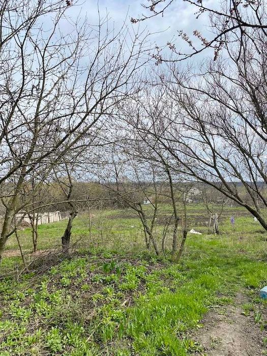 Продам будинок с. Куп’єваха Богодухівський район (169217)
