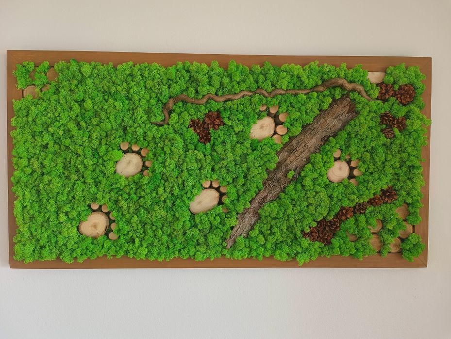 Obraz w drewnianej ramie 165x66 cm mech chrobotek