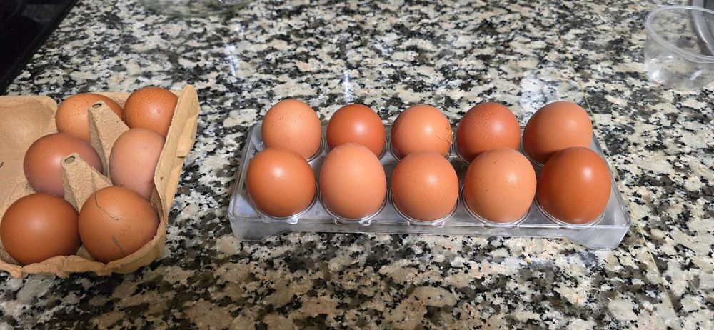 Ovos caseiros Azeitao