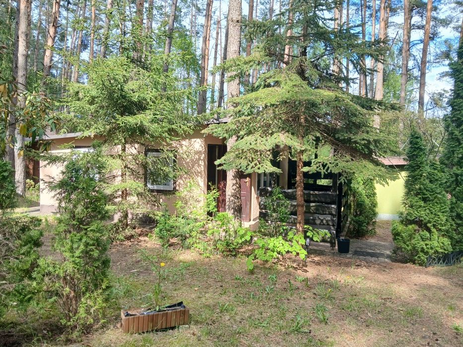 Domek letniskowy blisko Olsztyna