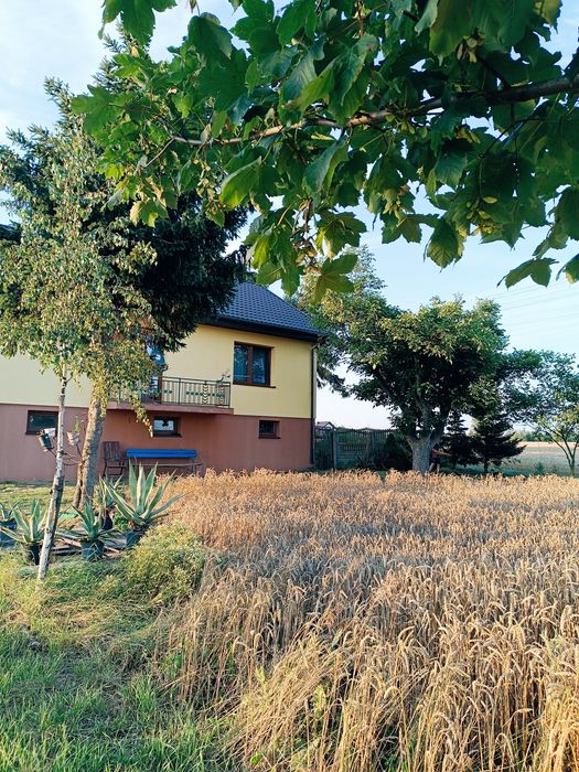 Wyjątkowy dom - 6 km od Płocka, działka 3000 m2