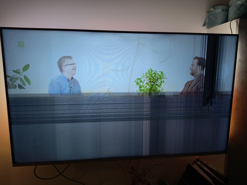 Philips 65PUS7956 64 cale