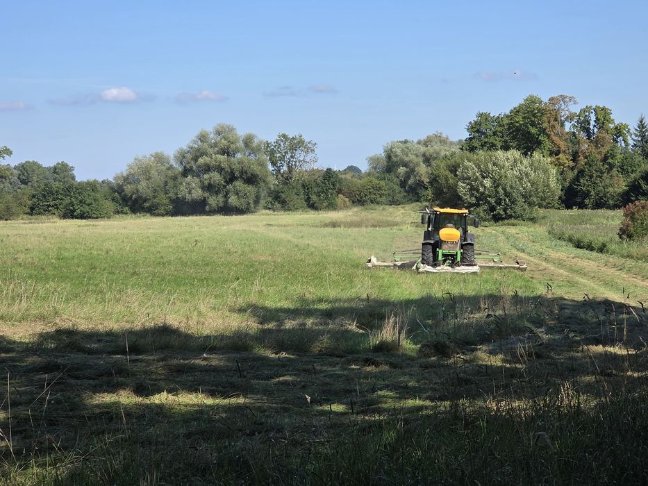 Koszenie łąk, terenów podmokłych, mulczowanie, frezowanie